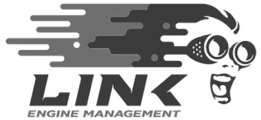 Link Engine Management logo